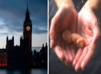 England blames record abortions on economic crisis