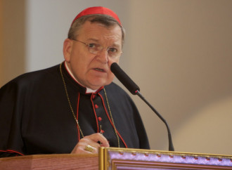 Cardinal Burke: "A true conscience does not justify sin"