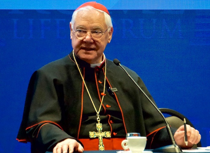 Cardinal Müller at Roma Life Forum