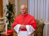 Paedophile priests cover up casts shadows over Prevost, cardinal who selects bishops