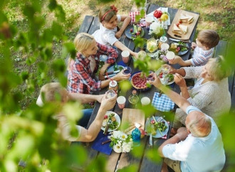 ‘Families, breed earthworms’: How the Vatican is saving the planet