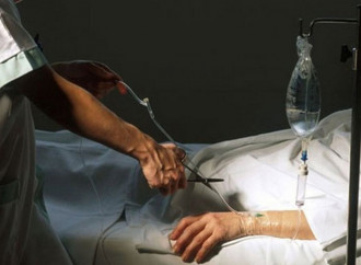 Killed to donate their organs: euthanasia upsurges