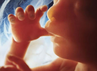 “No vaccines from aborted foetuses!” A heroic appeal to Christians