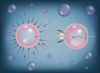 If artificial insemination even becomes Plan A