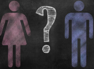 Ireland: Catholic school stops state transgenderism