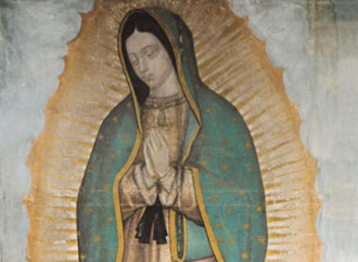 Our Lady of Guadalupe