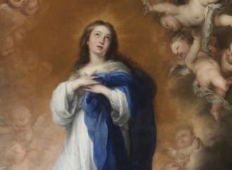 Immaculate Conception of the Blessed Virgin Mary