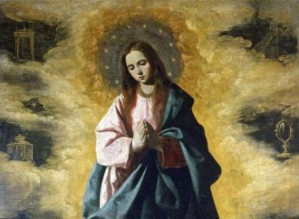 Who are you, O Immaculate Conception?