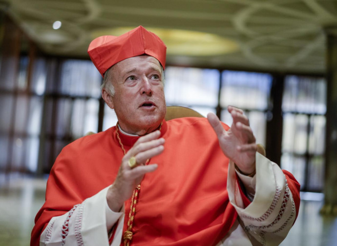 Cardinal McElroy