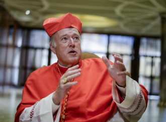 Cardinal McElroy's summa of heresies