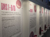 Exhibition on unborn children at EU Parliament terrifies the left