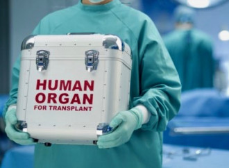 Canada scores world record for organ donation euthanasia