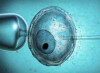 Vatican News endorses artificial fertilisation