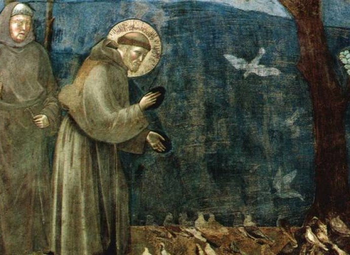 Saint Francis - Giotto