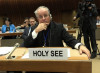 Disturbing Church push for UN goals