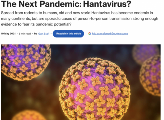 Hantavirus: Gavi’s ‘prophecy’ about the next pandemic