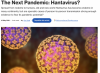Hantavirus: Gavi’s ‘prophecy’ about the next pandemic