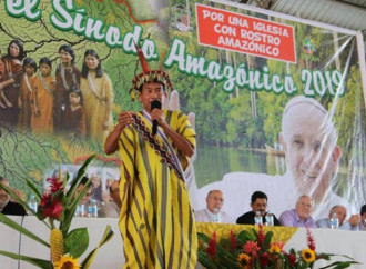 «Una crociata di preghiera e digiuno per il Sinodo sull'Amazzonia»